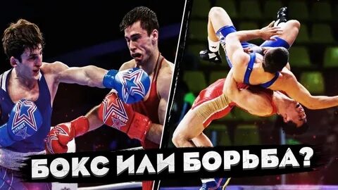 Боксер против