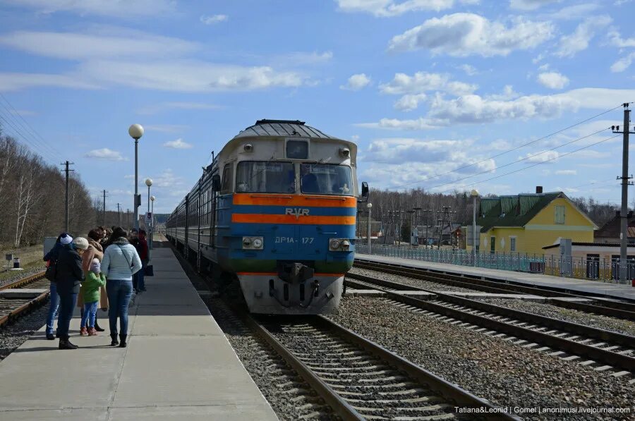 Поезд гомель речица на сегодня