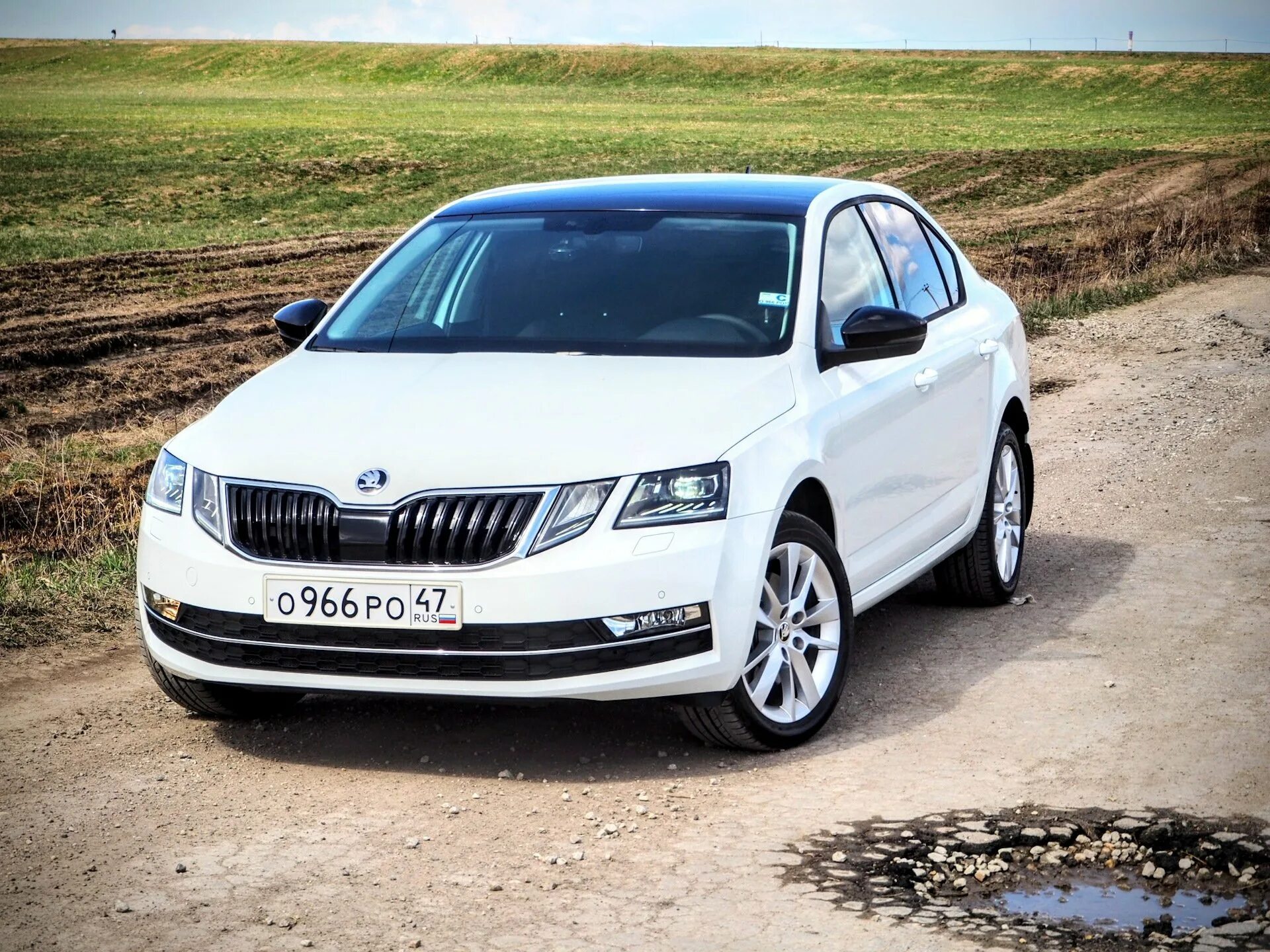 Шкода 1.6 механика купить. Skoda Octavia 1.