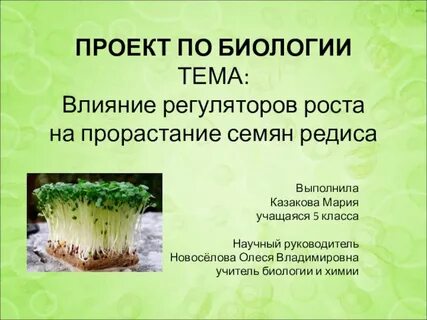 Купить индивидуальный проект 10 класс биология Темы мастер классов по биологии