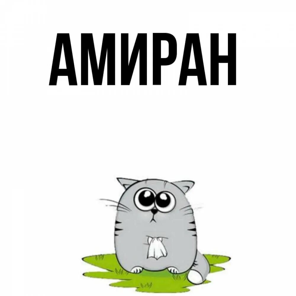Амиран сардаров национальность. Картинки с днём рождения амиран 12. Амирани логотип. Амиран красиво написано. Селим сардаров.
