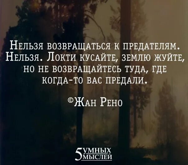 Не возвращайся туда где был счастлив. Нельзя возвращаться к предателям нельзя. Локти кусайте землю жуйте но не возвращайтесь туда. Цитаты землю жуйте. Нельзя возвращаться к предателям нельзя локти кусайте землю жуйте.