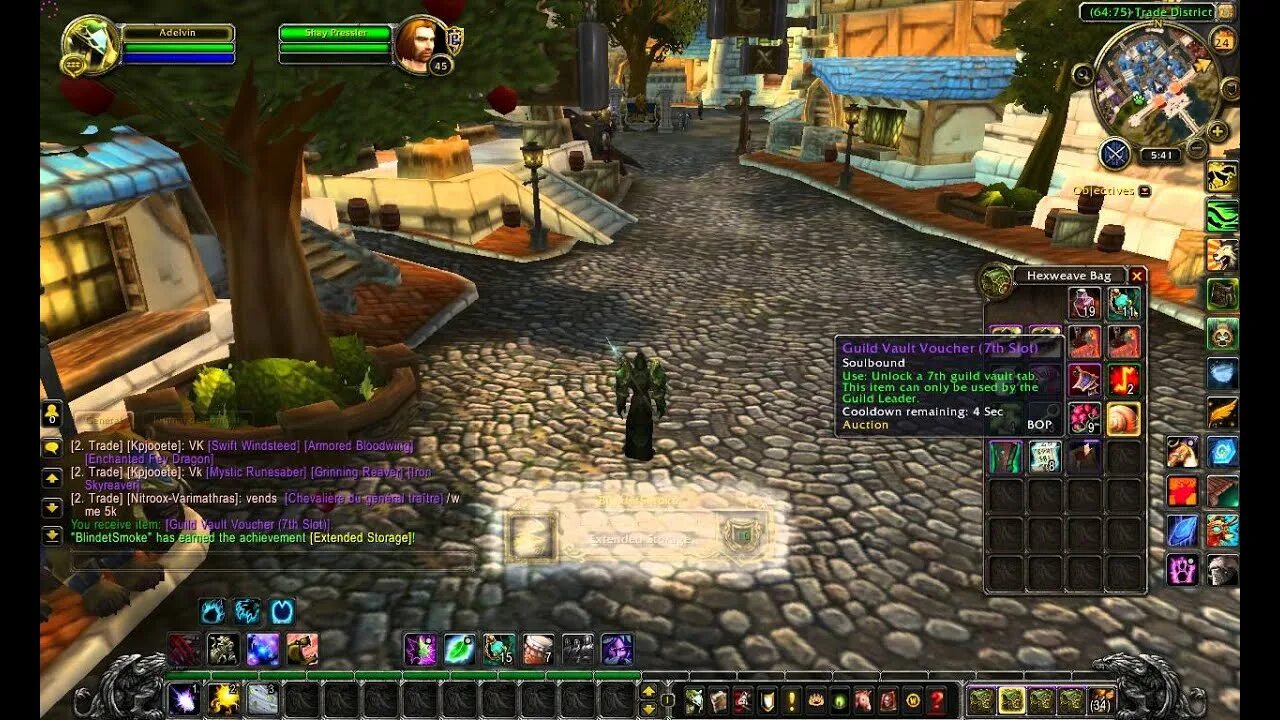 World of warcraft гильдии. Wow банк гильдии. world of warcraft guild. wow item slots. wow гильдия новичков.