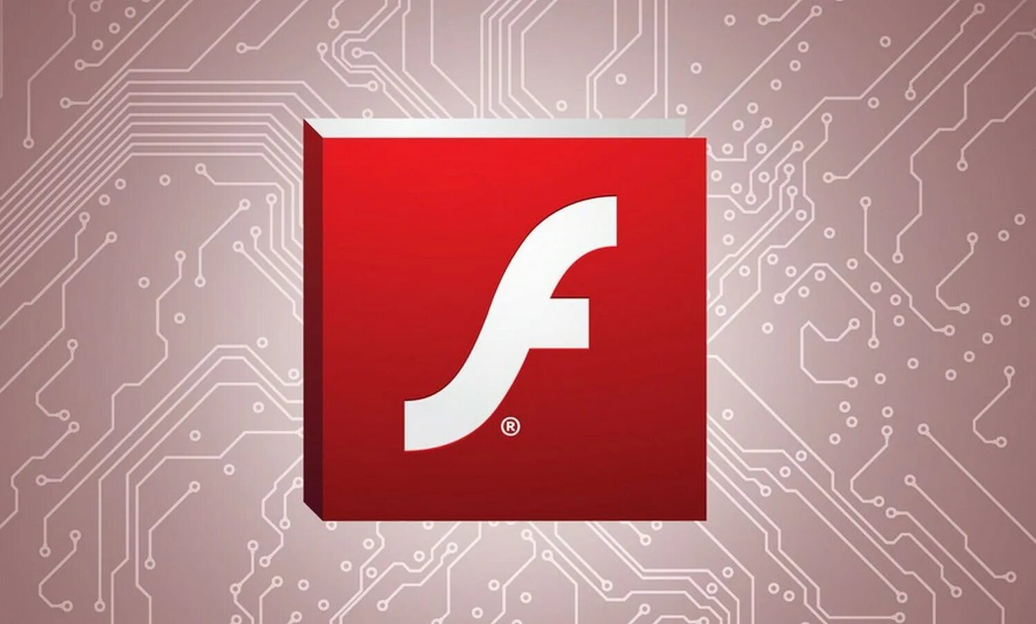 Adobe flash windows xp. Adobe flash logo. adobe flash 1982-. adobe flash wilking man bg.