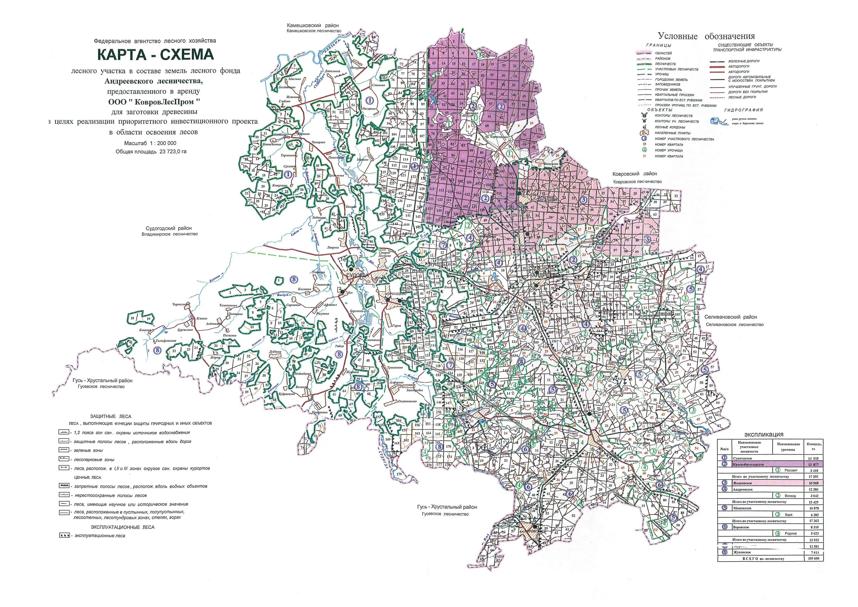 Андреевский лесхоз Судогодский район. Андреевское лесничество Судогодского района. Ковровское лесничество Владимирской области. Карта схема лесов Псковской области. Карта участков лесничества