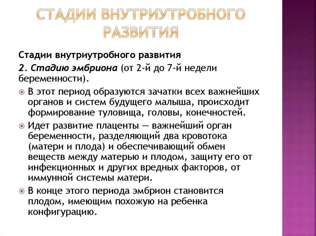 Стадии внутриутробного развития. Этапы внутриутробного развития плода. Этапы внутриутробного развития ребенка. Основные этапы внутриутробного развития.