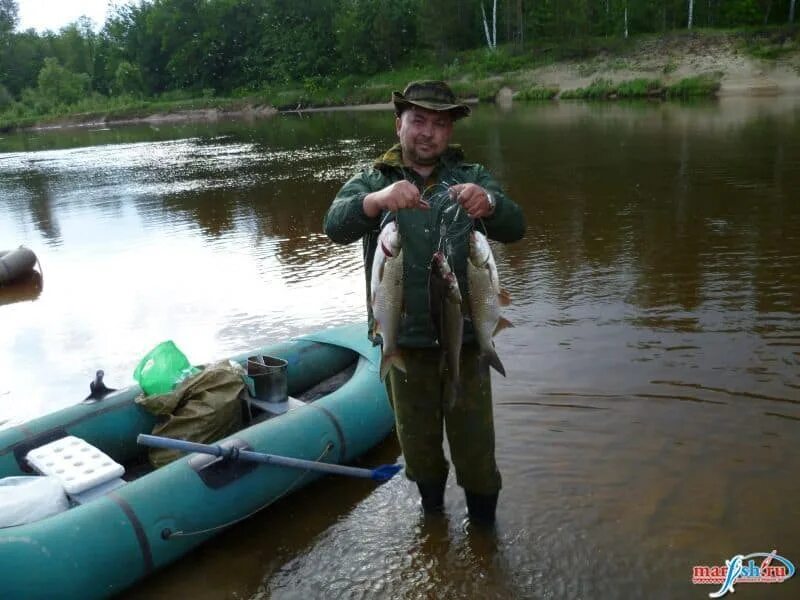 Рыбалка в Марий Эл. Клевое место рыбалка. Республика Марий Эл на рыбалке. Росрыболовство Марий Эл. Марий эл рыбалка волга