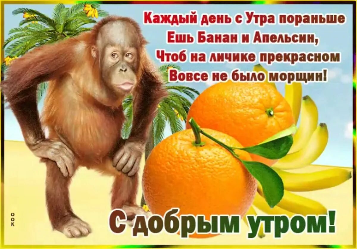 Утро с пожеланиями с приколами. Пожелания с добрым утром прикольные. смешные пожелания доброго утра. открытки с добрым утром прикольные. весёлые поздравления с утра.