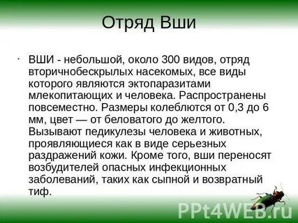 Значение вшей