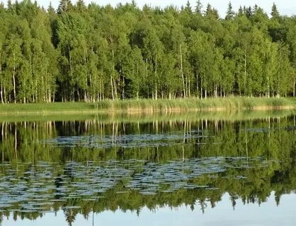 Парки заповедники спб