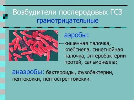 Грамотрицательные возбудители