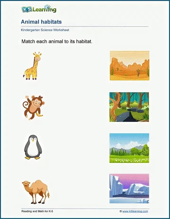 Animal Habitats. Animals and their Habitats. Animal Habitats Worksheets. Animals and their habitatst Worksheets.