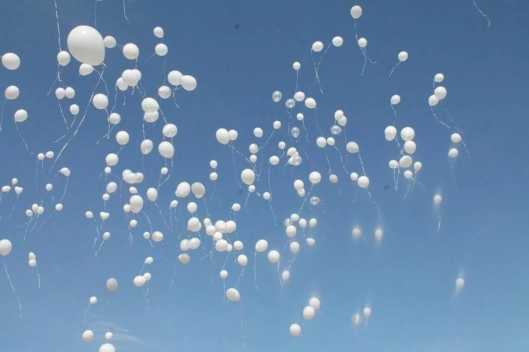 Белые шары. Белые воздушные шары. Белые летящие шары. Белый воздушный шарик. Белые летящие шары.