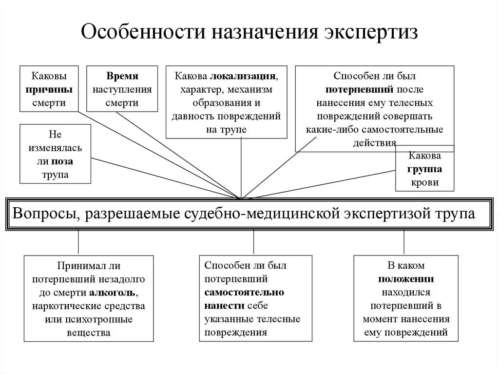 Основные направления экспертизы. Тактика назначения судебной экспертизы. Особенности назначения экспертизы. Особенности назначения и производства экспертизы. Тактика назначения и производства судебной экспертизы.