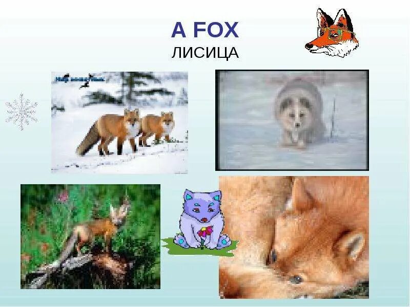 A fox перевод. A fox перевод. A fox перевод. Fox перевод на русский с английского. A fox перевод.