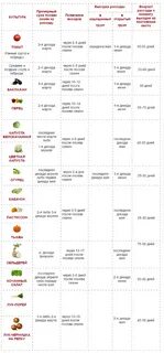 Как вырастить хорошую рассаду в домашних условиях