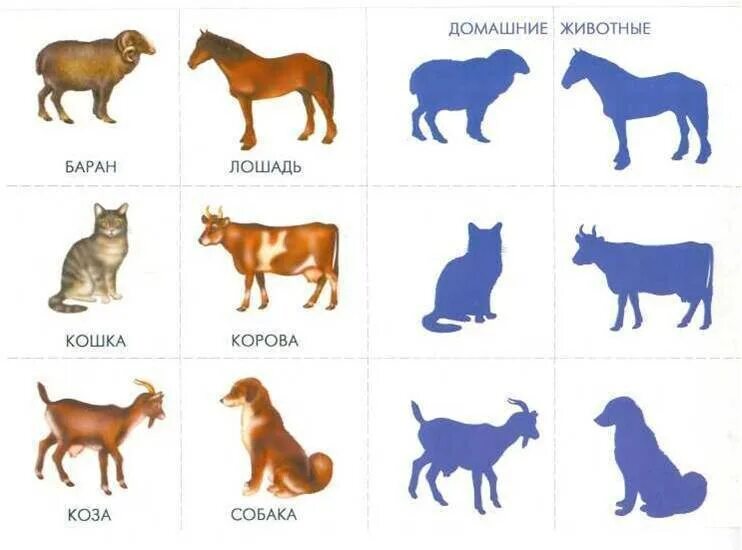Найти лишнюю собаку ответ