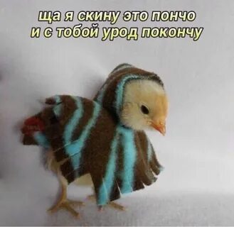 Которое я тебе сейчас скину