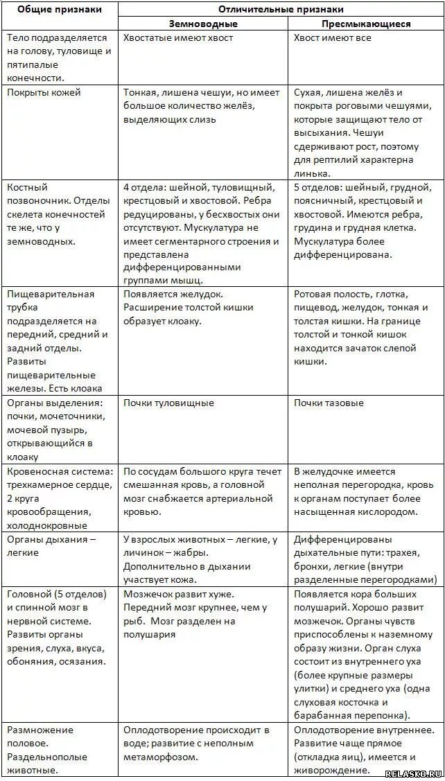 Таблица амфибии и рептилии. Характеристика систем органов пресмыкающихся таблица. Система органов земноводные пресмыкающиеся таблица по биологии 7. Таблица система органов земноводные пресмыкающиеся. Земноводные таблица 7 класс система органов.