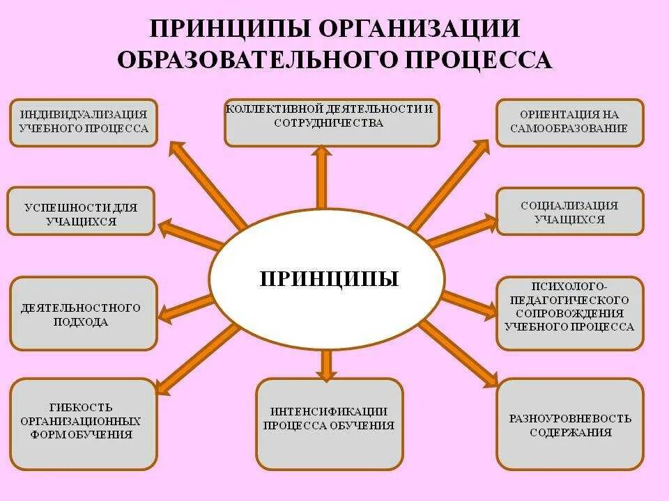 Каким должен быть образовательный процесс. Принципы организации учебного процесса в школе. Принципы организации педагогического процесса. Принципы организации образовательного процесса. Принципы воспитательных технологий в образовании.