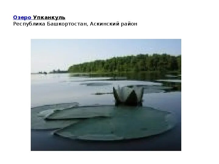 Погода в упканкуль аскинский