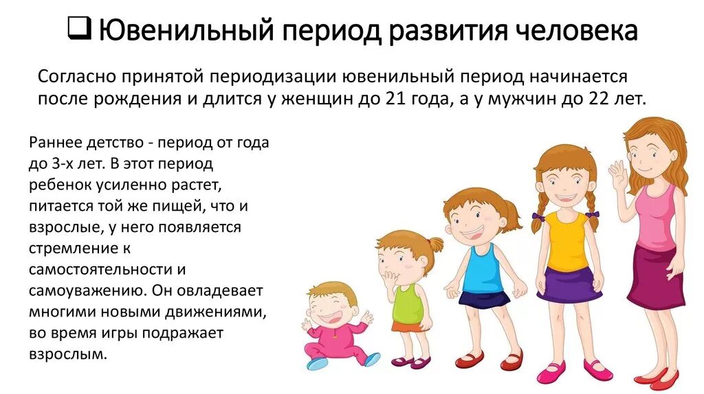 Ювенильный период постэмбрионального развития. Ювенильный период онтогенеза человека. Возрастные периоды постэмбрионального развития человека. Ювенильный и пубертатный периоды.