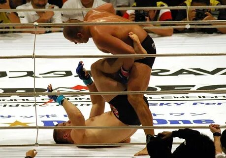 Емельяненко крокоп бой видео