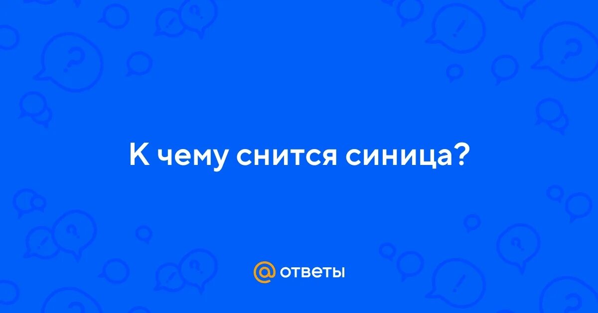 Синица фото. Большая синица портрет. К чему снится синица. Птичка синица лазоревка. Синицы род птиц.