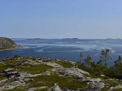 Есть ли белое море