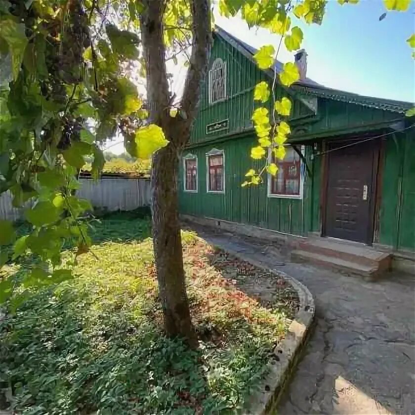 Рп5 туапсинский октябрьский. Рп5 туапсинский октябрьский. Алтайский уют. Рп5 туапсинский октябрьский. Алтайский уют.