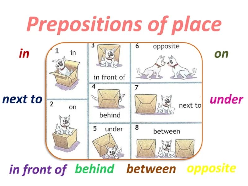 Prepositions of place 6 класс. Предлоги in on under behind next to in Front of Spotlight. Prepositions of place презентация. Spotlight prepositions of place. Is in front перевод