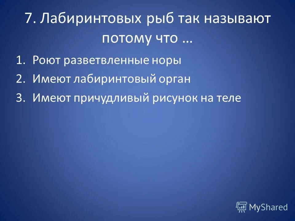 Проект чистый байкал. Цель проекта байкал. Описание озера байкал. Задача байкал. Чистый байкал сохрани байкал чистый.