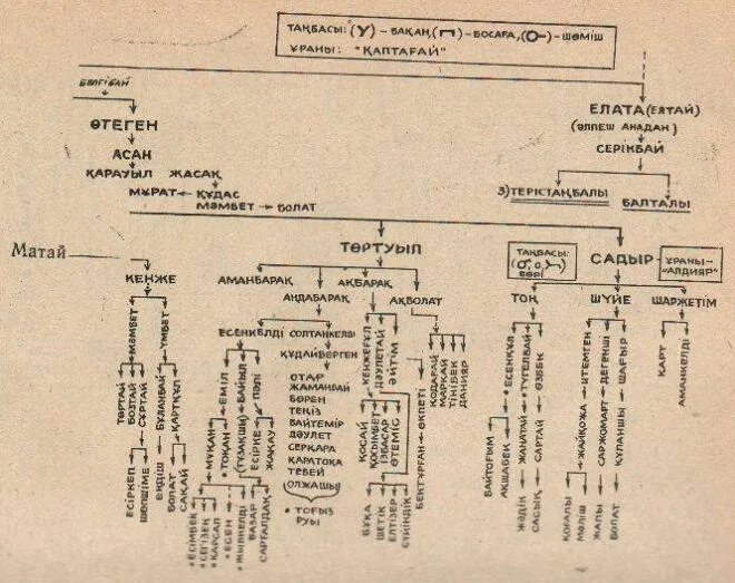 Родословная Найманов. Родословная казахов среднего жуза Найман. Родословная казахов младшего жуза. Генеалогическое Древо казахов среднего жуза. Кіші жүз ханы