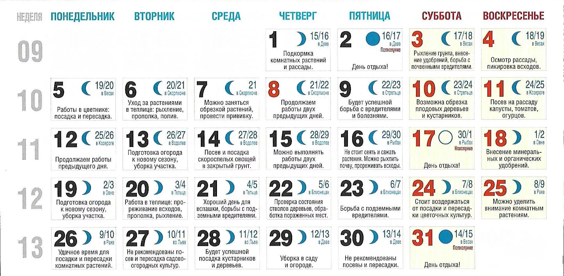 До какого числа можно использовать