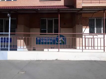 Ветклиника чита