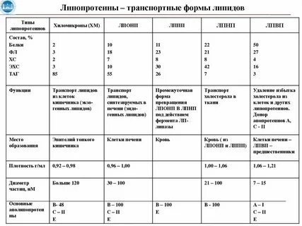 Какие клетки и ткани наиболее богаты липидами