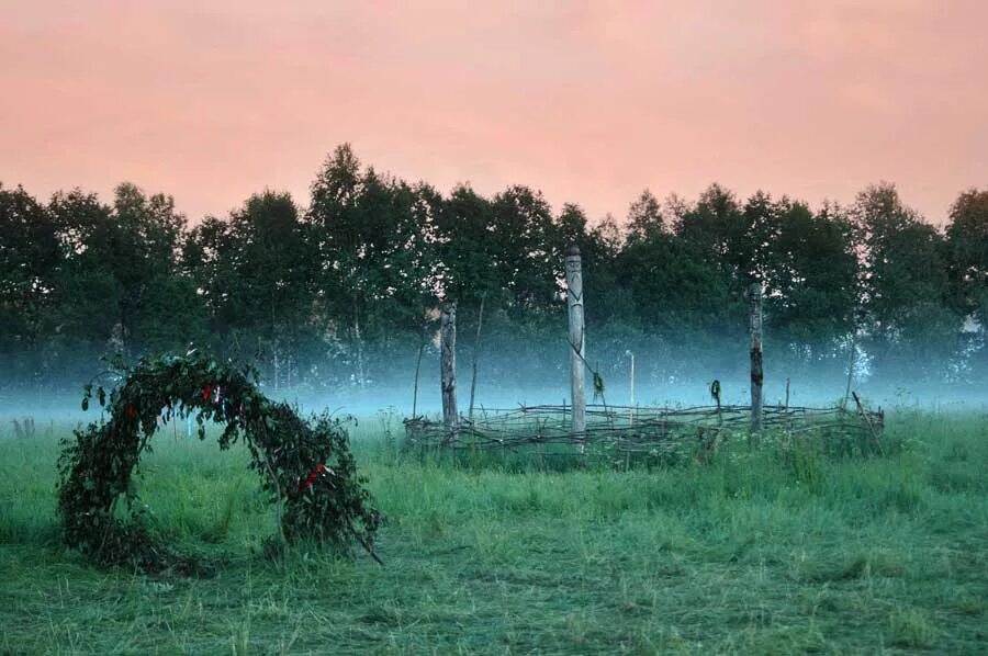 Лес купала. Лес купала. Ночь купала. Папоротник ночью. Лес купала.