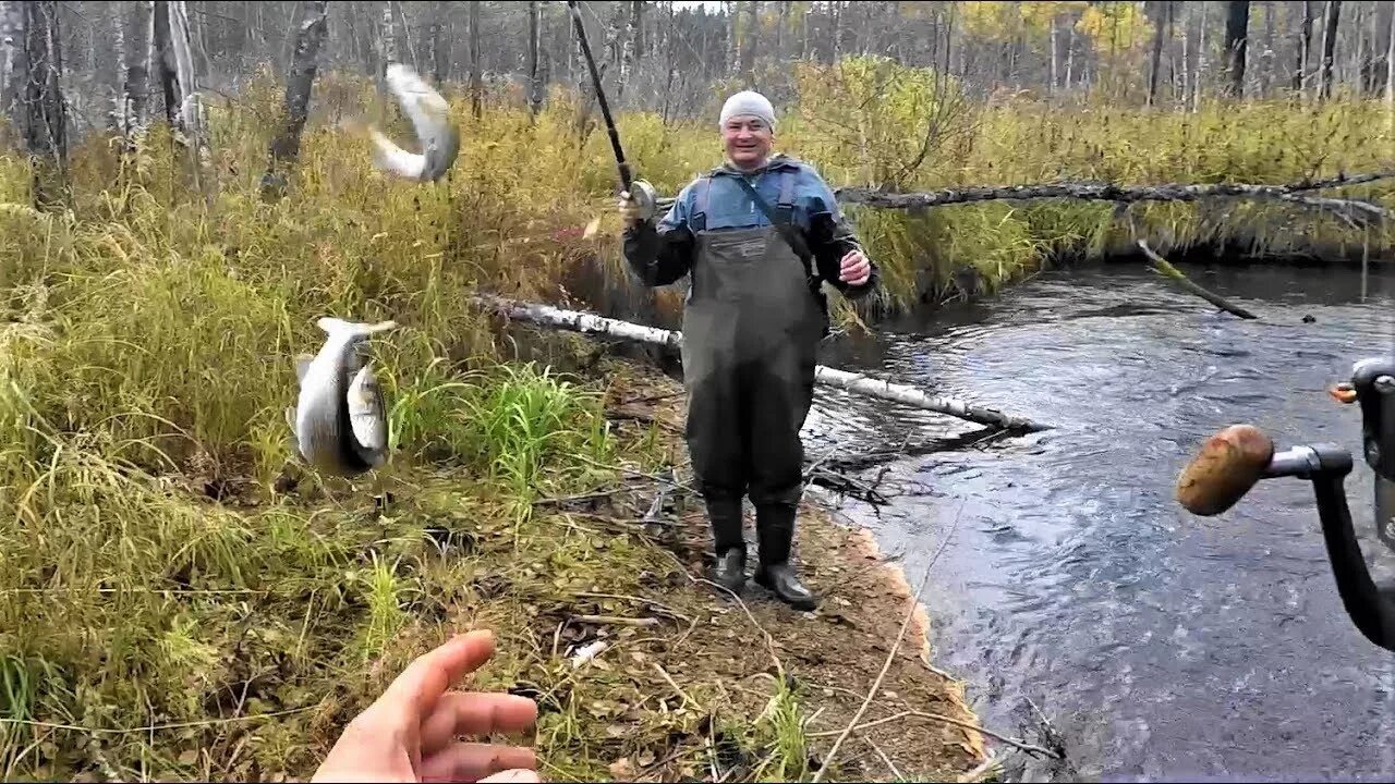 Ловля в сибири. Рыбалка на реке Мрассу хариус. Рыбалка хариуса на таежных речках. Хариус на малых реках Сибири. Хариус на таежной речке.