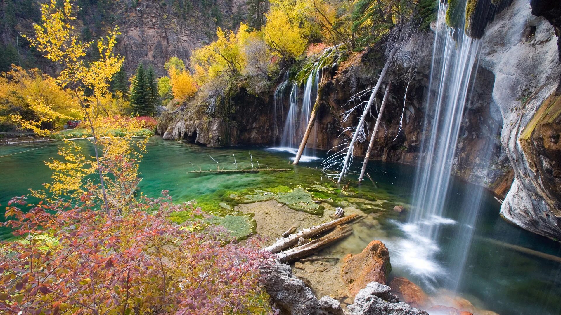 Национальный заповедник Гиффорд Пинчот, Вашингтон, США. Водопад Колорадо. Красивые водопады. Водопад у озера. Живые обои высокого качества на телефон