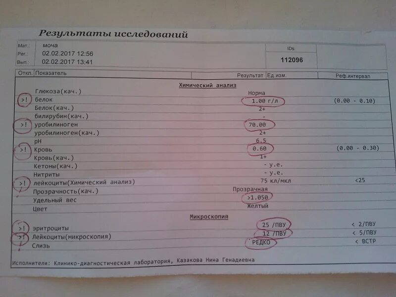 Какие анализы крови показывают почки. ОАМ пиелонефрит показатели. Анализ мочи при пиелонефрите. Пиелонефрит общий анализ мочи. Общий анализ мочи при пиелонефрите показатели.