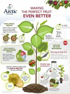 Evens fruits