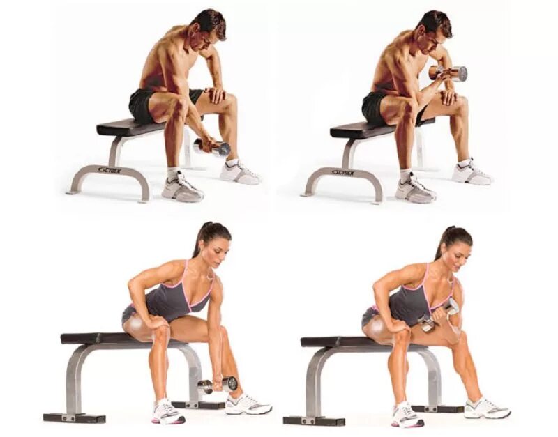 Концентрированный жим на бицепс. Концентрированный подъем на бицепс сидя. Как качать бицепс сидя. Гантели на бицепс сидя. Как качать бицепс сидя.