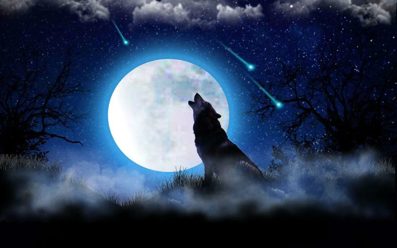 Луна живое существо. Волк и Луна. Небо Луна волки. Узор волки на луну. Волк и Луна живые обои.
