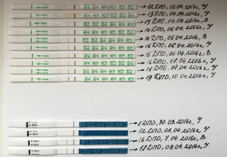 Неделя беременности после овуляции. Динамика тестов на беременность и ХГЧ. Тесты на беременность по дням задержки динамика. Динамика тестов на беременность по дням после задержки. Тесты на беременность по дням после овуляции.