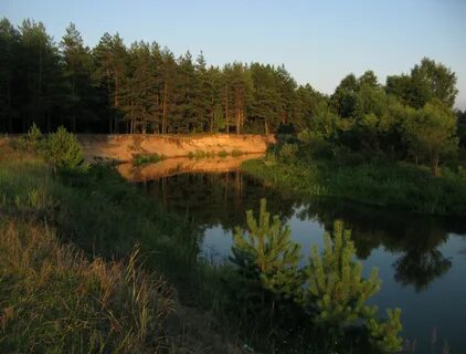 Киржач лес