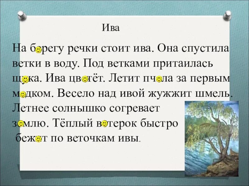 Ива над заглохшей рекой 5 класс. На берегу речки стоит Ива.она спустила ветки в воду. Рассказ о иве. На берегу реки стоит Ива. Ива над рекой сочинение.