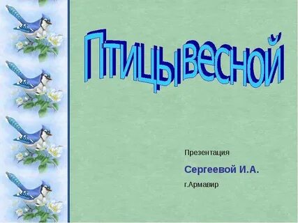 Презентация птицы детский сад