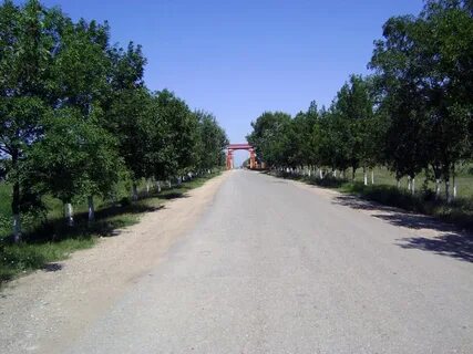 Погода в османюрте на неделю