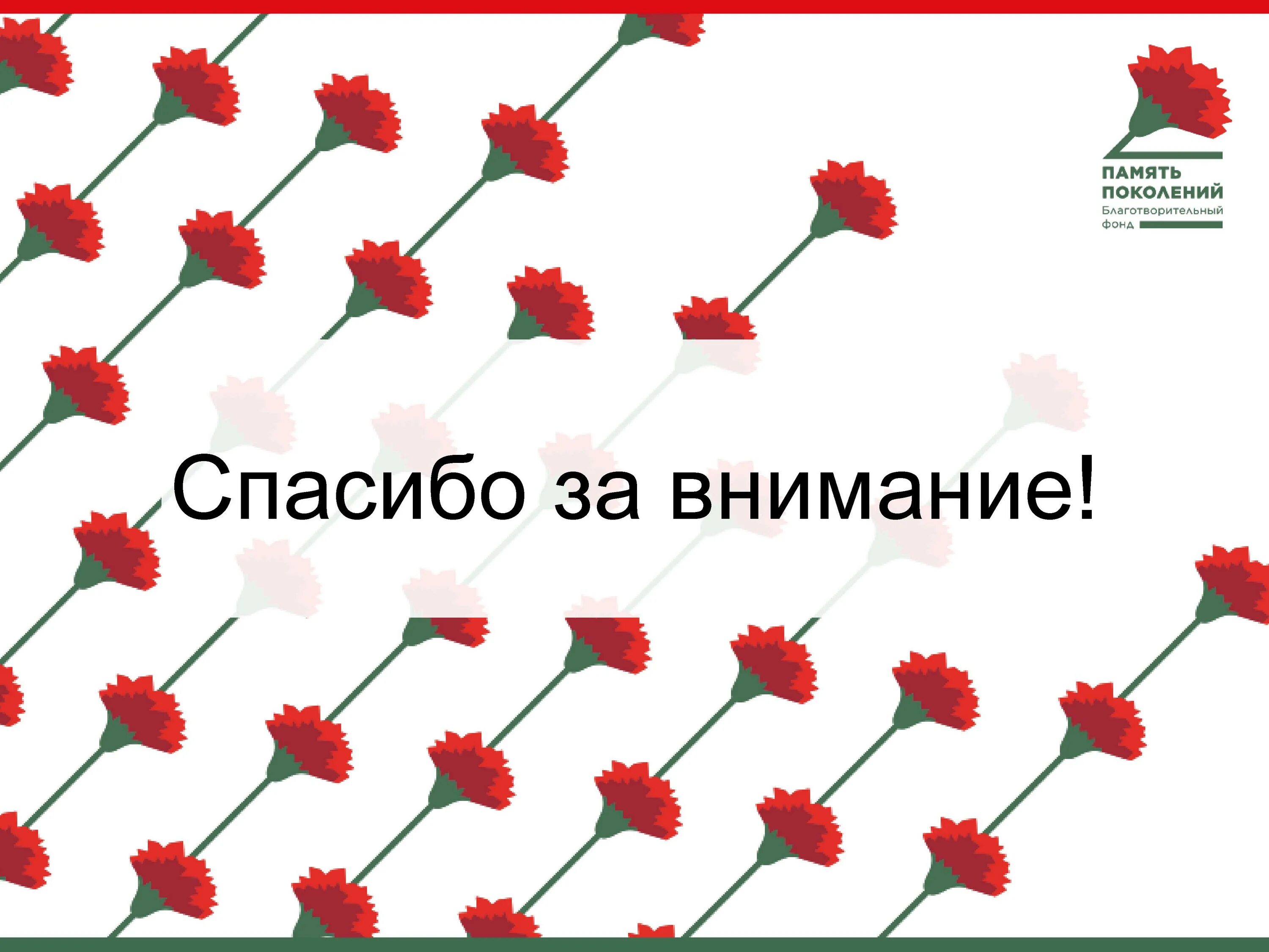 Память поколений благотворительный фонд. Красная гвоздика память поколений. Эмблема память поколений. Благотворительный фонд память поколений. Красная гвоздика память поколений логотип.