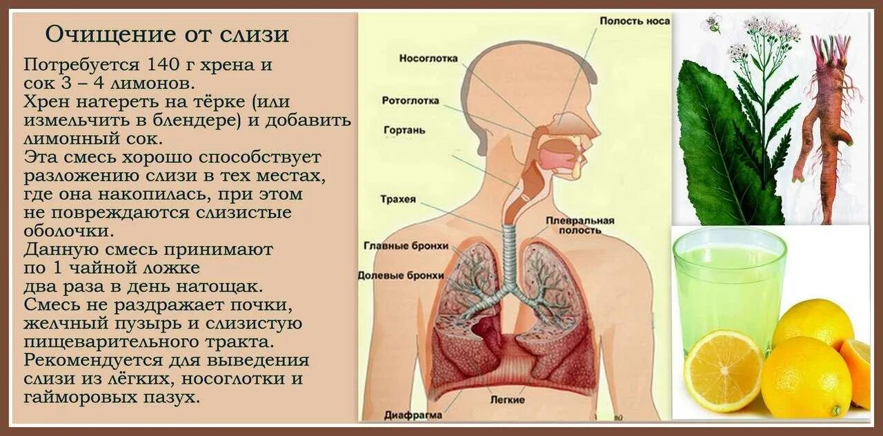 Дыхание ртом кашель